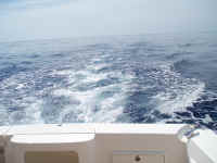 PB220146.JPG (378946 bytes)