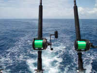 PB220150.JPG (359746 bytes)