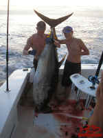 Herk's 242 pounder- 11-21-06.jpg (51568 bytes)