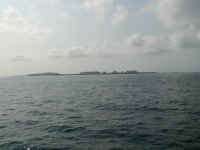 P6280585.JPG (125715 bytes)