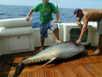 P7290655.JPG (145903 bytes)