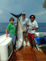 P7290663.JPG (175476 bytes)