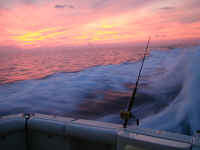 PB260789.JPG (396679 bytes)