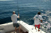 tuna 030.jpg (1918525 bytes)