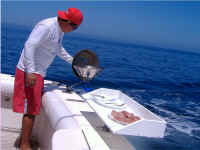 Full Camera Download 093.jpg (259206 bytes)