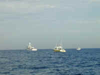 P1120845.JPG (333718 bytes)