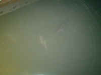 P1130855.JPG (466151 bytes)