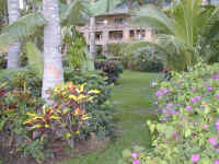 P1270893.JPG (427466 bytes)