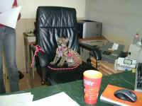 P2160944.JPG (371794 bytes)