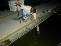 P2180950.JPG (338383 bytes)